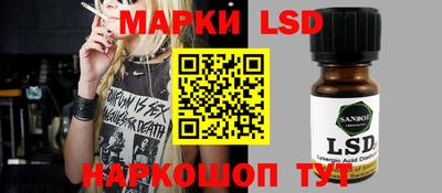 крисы Гатчина