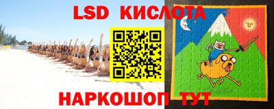 крисы Гатчина