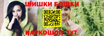 крисы Гатчина