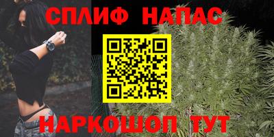 прущий лед Гай