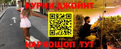 крисы Гатчина