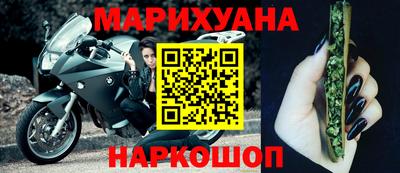 крисы Гатчина