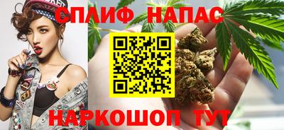 прущий лед Гай