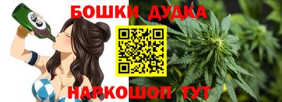крисы Гатчина